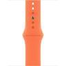 MYAY2ZM/A /Apple watch 40mm Kumquat Sport Band - Regular APPLE / Covers & Cases